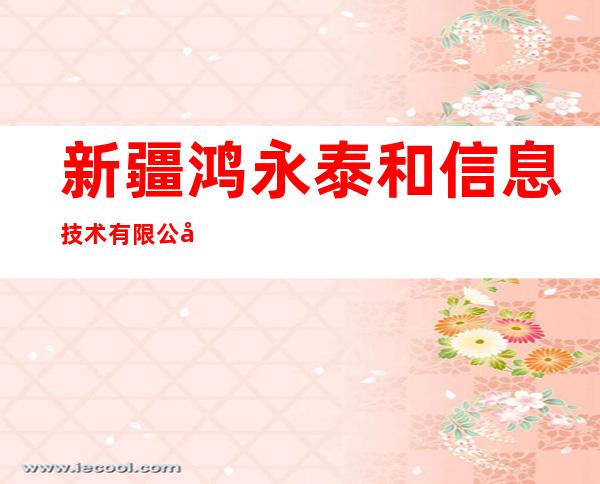 新疆鸿永泰和信息技术有限公司
